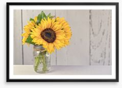 Sunflower simplicity Framed Art Print 210540459