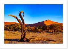 Desert Art Print 211365315