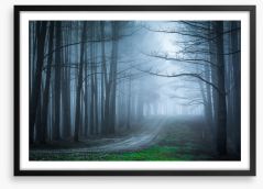 Forests Framed Art Print 211857202