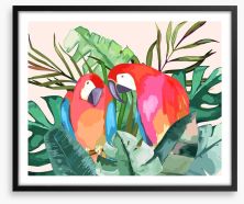 The parrot pair Framed Art Print 212104899