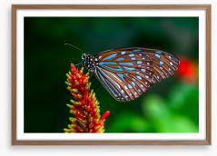Insects Framed Art Print 212330366