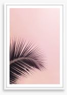 Pink sky palm Framed Art Print 213704723