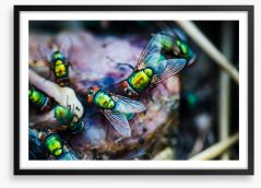 Insects Framed Art Print 213944852