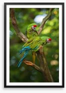 Military macaw mates Framed Art Print 214373787