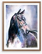 Soulful mare Framed Art Print 21596584