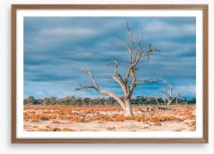 Outback Framed Art Print 216058482