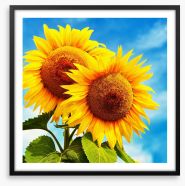 Sunny disposition Framed Art Print 216388844