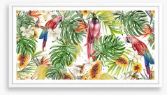 Papaya parrots Framed Art Print 217600410