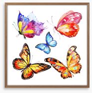 Butterflies Framed Art Print 217876282