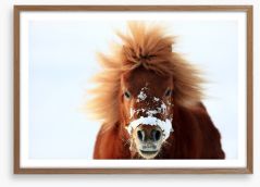 Snow pony Framed Art Print 21818141