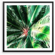 The coconut tree Framed Art Print 219167733
