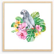 Parrot in the plumeria Framed Art Print 220139420