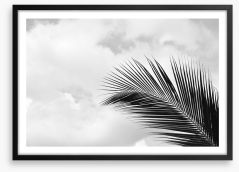 Palm leaf sky Framed Art Print 221280582