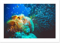Underwater Art Print 221471744