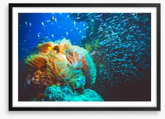 Underwater Framed Art Print 221471744