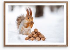 Squirrel nutkin Framed Art Print 221710327