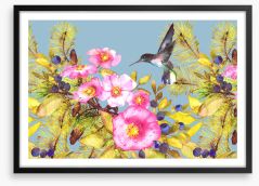 Wild rose hummingbird Framed Art Print 222226702