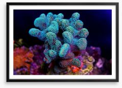 Turquoise coral cluster Framed Art Print 222502053