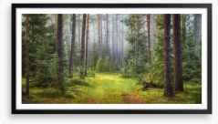 Green forest glade Framed Art Print 224193192