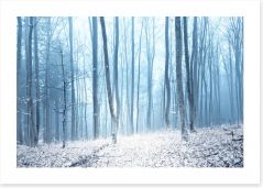 Forests Art Print 224601038