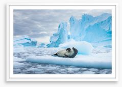Chilled out Framed Art Print 225078844
