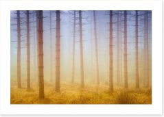 Forests Art Print 226533174