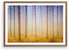Forests Framed Art Print 226533174