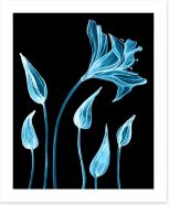 Floral Art Print 227424388