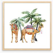 Date palm camels Framed Art Print 227938802