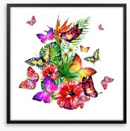 Butterfly brouhaha Framed Art Print 228036440