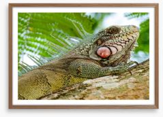 Reptiles / Amphibian Framed Art Print 229313555