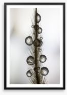 Drops of jupiter Framed Art Print 229971558
