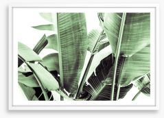 Beneath the banana leaves Framed Art Print 230621433