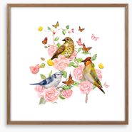 Songbird trio Framed Art Print 232643845