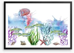 Seaweed shoal Framed Art Print 233105905