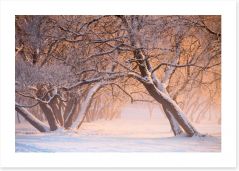 Winter Art Print 233256381