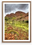 Outback Framed Art Print 23518586
