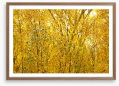 Autumn Framed Art Print 235400910