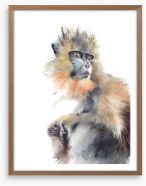 Animals Framed Art Print 237047695