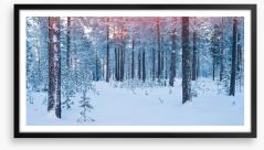 Forests Framed Art Print 237993665