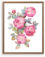Pretty as a rose Framed Art Print 240248060