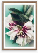 Last bloom Framed Art Print 241307796