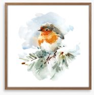 Robin in the snow Framed Art Print 241330545