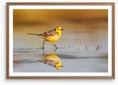 Little yellow wagtail Framed Art Print 241626578