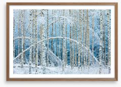 Arctic arches Framed Art Print 242694750