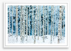 Forests Framed Art Print 242695158