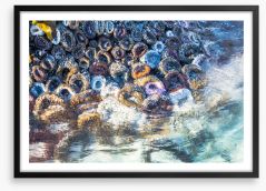 Low tide anemones Framed Art Print 243350643