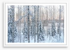 Arctic pine Framed Art Print 245352695