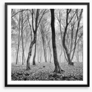 Forests Framed Art Print 246185234