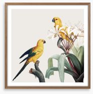 Feathered friends I Framed Art Print 246752817